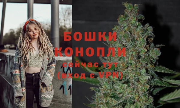 гашик Покровск