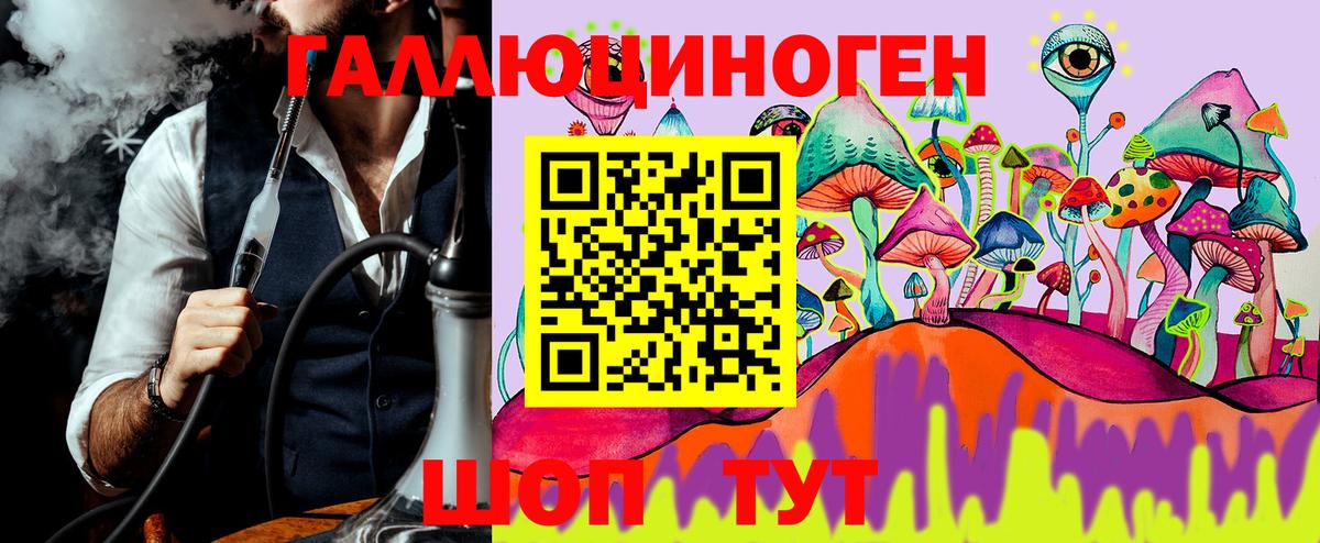 Галлюциногенные грибы Psilocybine cubensis Моршанск